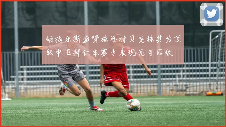 胡梅尔斯盛赞施洛特贝克称其为顶级中卫拜仁本赛季表现无可匹敌