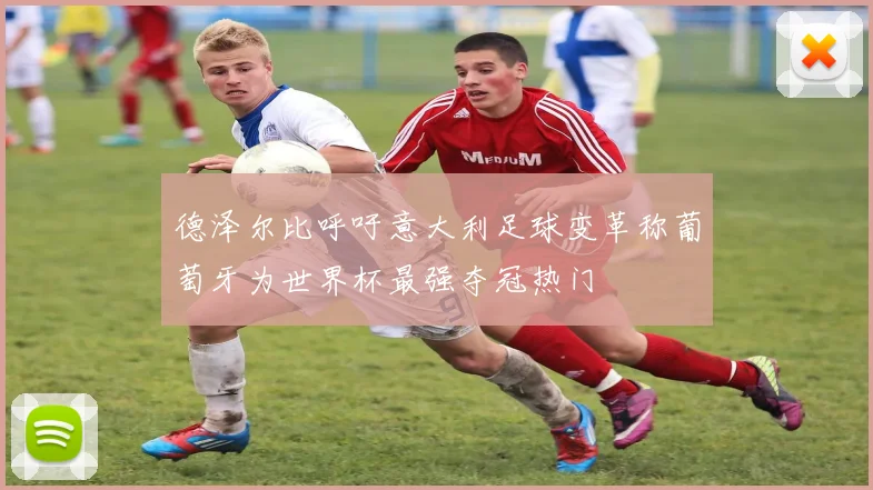 德泽尔比呼吁意大利足球变革称葡萄牙为世界杯最强夺冠热门