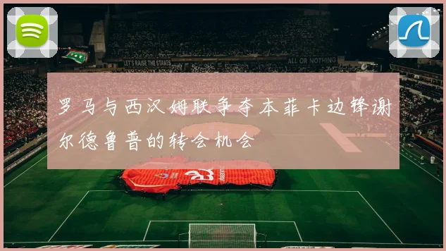 罗马与西汉姆联争夺本菲卡边锋谢尔德鲁普的转会机会